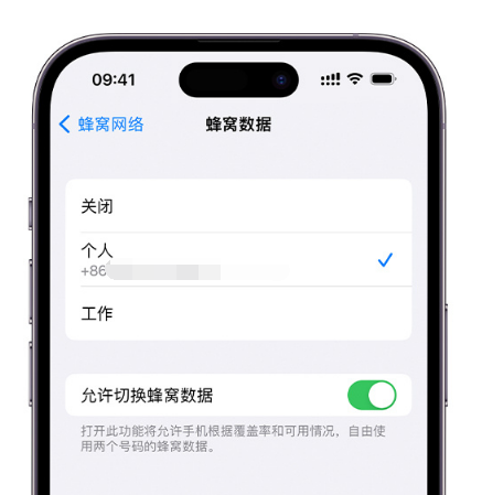 神木苹果维修服务分享如何在iPhone上使用双卡 